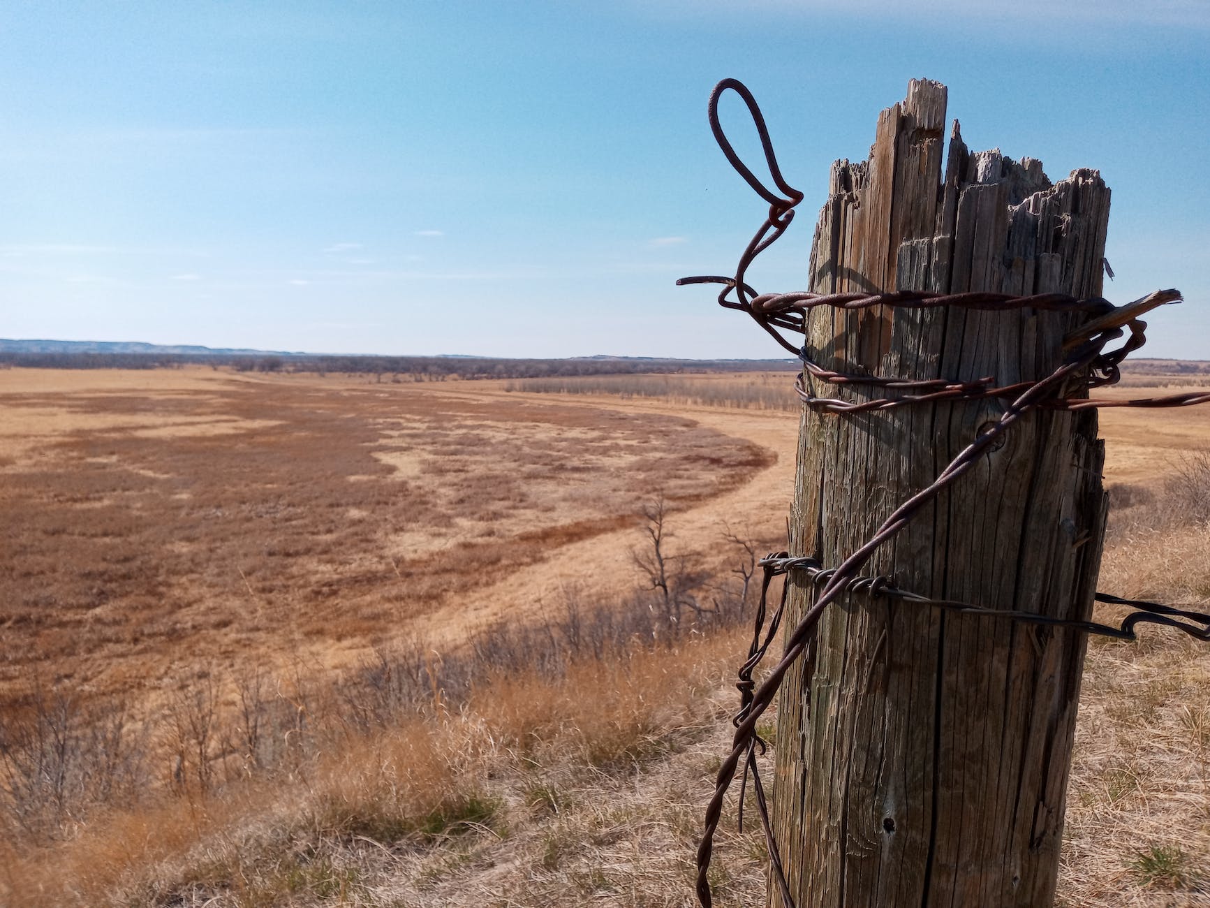 Picture of Passport Photos Near Me | Photo Printing - The UPS Store